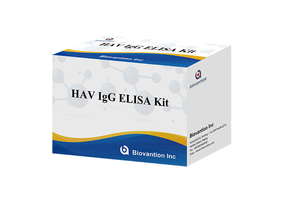 Hépatite de HAV IgG Elisa Kit Antibody Diagnostic Kit For un virus