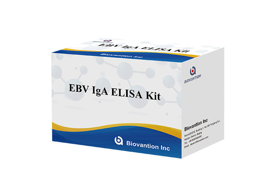 Spécimen d'EBV-VCA IgA Ab Test ELISA Kit Enzyme Immunoassay Test Plasma