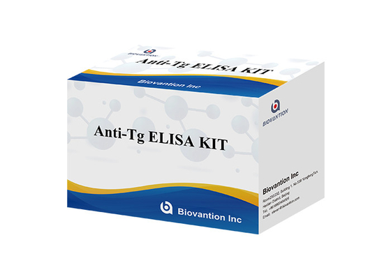 Kit d'essai de Tg ab d'anti de thyroglobuline de BIOVANTION anti essai d'anticorps