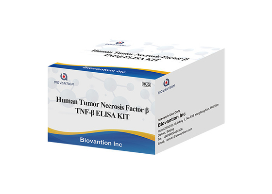Lymphotoxine alpha LTA ELISA KIT Human Tumor Necrosis Factor de TNFB TNFSF1 bêta