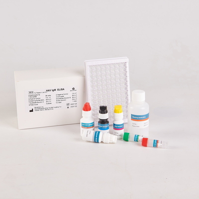 RUE HAV-IgM Kit Elisa