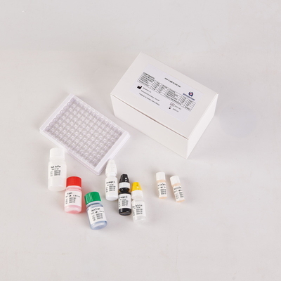 Kit Elisa pour les IgM du RUO HSV2