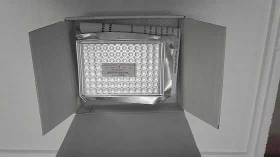 Interleukine 6 IL-6 96 Tests chez le rat Taille de l' emballage Elisa Kit hautement sensible