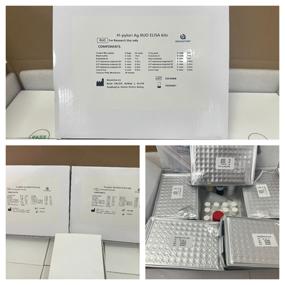 H Pylori ELISA Test Kit 480test/kit Résultats du kit de dépistage Elisa