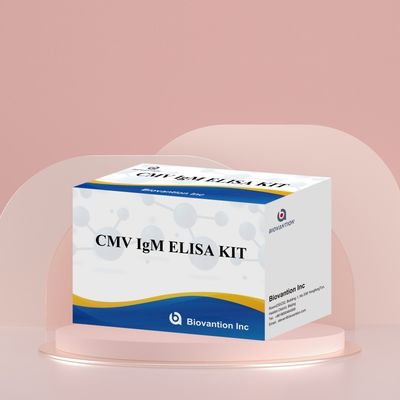 Kit de test Elisa IgG pour le CMV de haute précision en laboratoire ou à l'hôpital