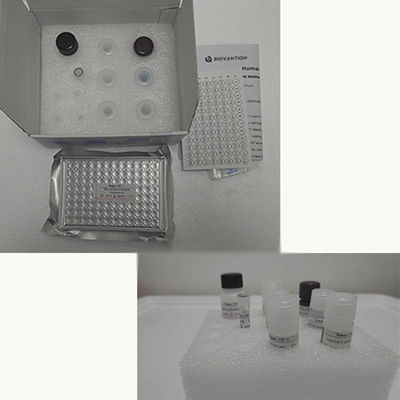 Kit de test Elisa pour le TNF-α RUO chez l'homme