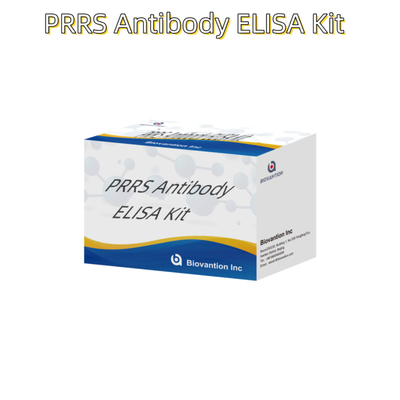 Test ELISA pour les anticorps du PRRSV chez l' animal Les anticorps du PRRS chez le porc