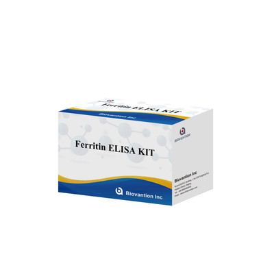 Biovantion Kit de test de ferritine Elisa à haute sensibilité Détection quantitative pour le diagnostic clinique et la recherche Utiliser des échantillons de plasma sérique humain