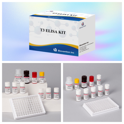Kit de test Elisa T3 personnalisable pour une quantification précise des biomarqueurs