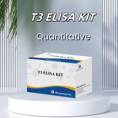 Kit de test ELISA de diagnostic médical T3 BIOVANTION avec haute spécificité