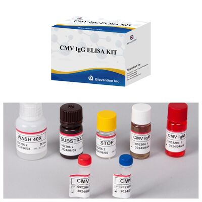 Kit de test ELISA CMV 96T avec détection colorimétrique et méthode sandwich pour les anticorps contre le cytomégalovirus