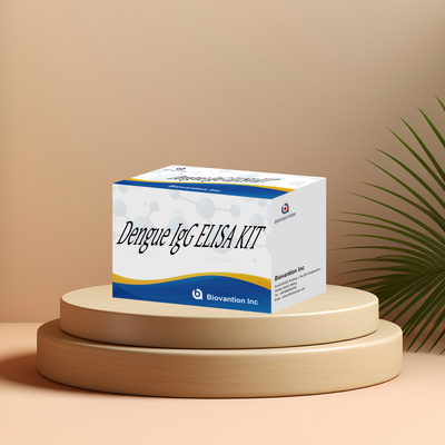 Kit ELISA IgG Dengue personnalisable à haute sensibilité pour 96 tests/kit dans les laboratoires cliniques