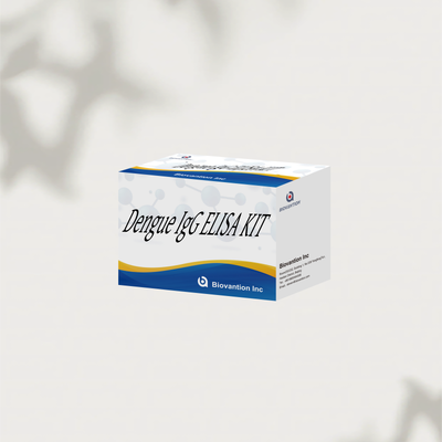 Dengue IgG ELISA Test Kit 96T Human Dengue Virus IgG Antibody Quantitative Detection
