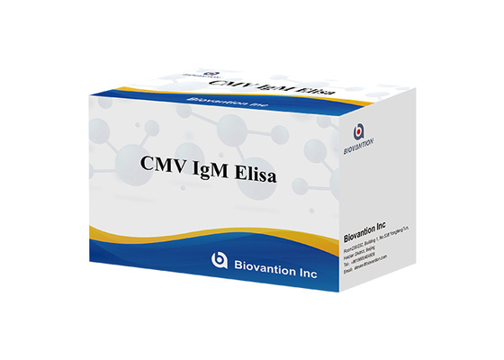 Pour le laboratoire ou l'hôpital, kit de test Elisa pour les anticorps IgM de haute précision contre le cytomégalovirus