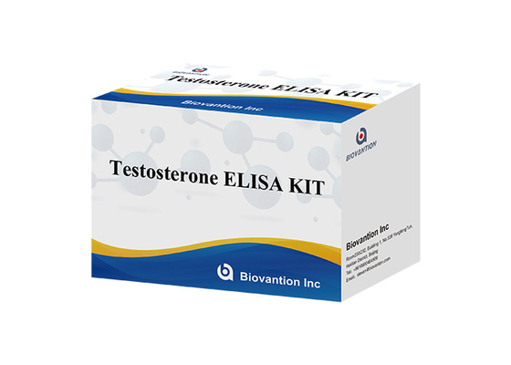 Laboratoire ou hôpital Kit de test ELISA de haute précision Ferr Testostérone libre