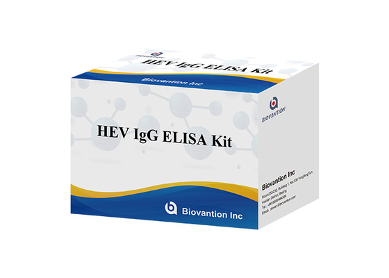 Anticorps humain de HEV Igg Elisa Kit Diagnostic For IgG au virus de l'hépatite E