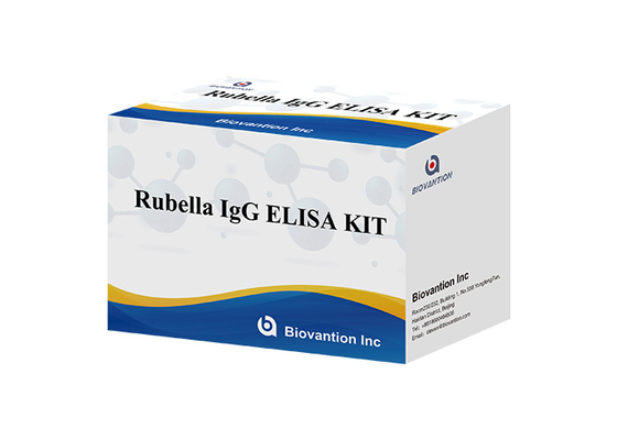 Laboratoire ou hôpital Kit de test ELISA IgG de rubéole de haute précision