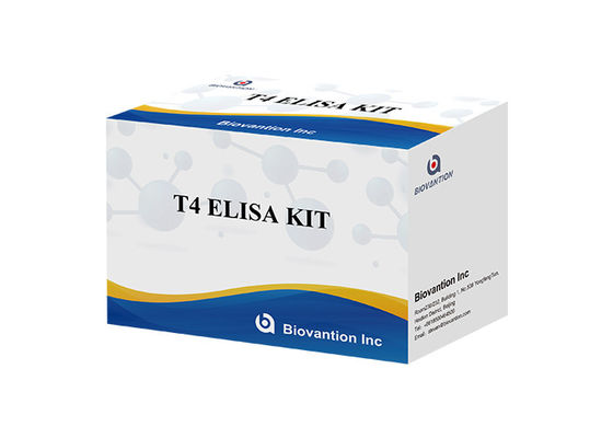Kit de détection Elisa de la thyroxine T4