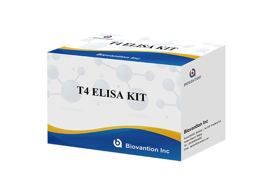 Thyroxine T4 Kit de détection Elisa Détection très précise Utilisation hospitalière et en laboratoire