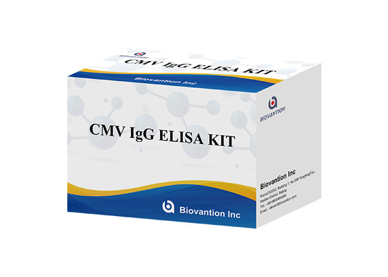 Laboratoire ou hôpital Kit de test ELISA IgG de haute précision pour le CMV