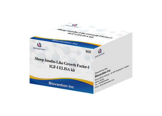 Moutons Igf1 Elisa Kit Insulin Like Growth Factor I Somatomedin