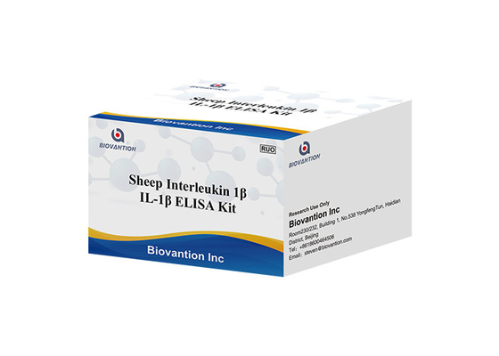 Interleukin de moutons 1 essai Kit Il 1B Elisa Kit de Beta Elisa Kit IL1F2 ELISA RUO