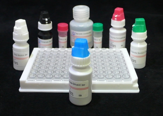 H.Pylori IgG Quant. Kit Elisa Origine Kit de test Elisa Format Kit fourni par Biovantion