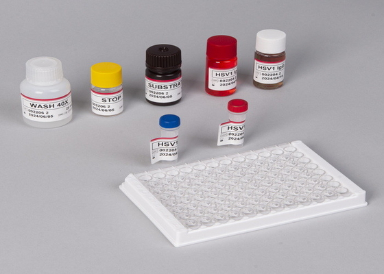 Pour la détection d'anticorps totaux contre le treponème pallidum dans le sérum ou le plasma humain