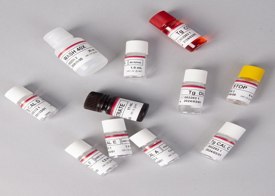 Équipement de test ELISA E2 Détection in vitro Détection médicale Haute précision