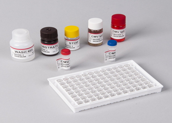 Hôpital, centre médical, kit de test ELISA anti-TP de haute précision
