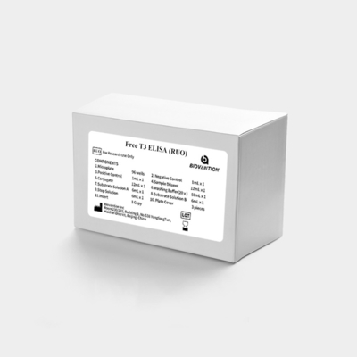 Test de triiodothyronine T3 en laboratoire hospitalier