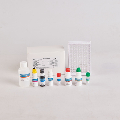 Kit Elisa de PTH humain/Kit Elisa d'hormone parathyroïdienne humaine pour l'OUR avec 96 tests