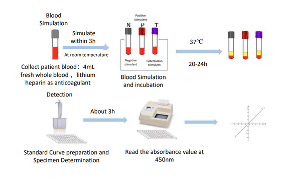 Kit Elisa pour l' analyse de la libération de gamma d'interféron pour la tuberculose Fabriqué par Biovantion