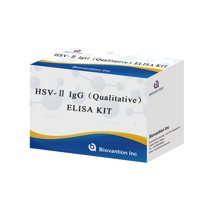 Anticorps contre le virus de l'herpès simplex (VHS-II) IgG Sensitif Kit Elisa Format Kit Biovantion pour des mesures précises