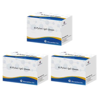 H.Pylori IgG Quant. Kit Elisa Origine Kit de test Elisa Format Kit fourni par Biovantion