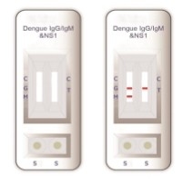 Pour le laboratoire ou l'hôpital, kit de test de dépistage de la dengue IgM/IgG pour le sérum de sang entier Elisa