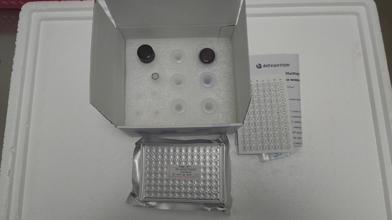 Kit de test Elisa Vitamine B1 Test chez l' animal de produits liés à l' enzyme RÉSERCHE Utilisation exclusive