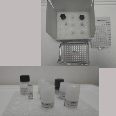 Un kit d'Elisa pour le renin humain avec 96 tests