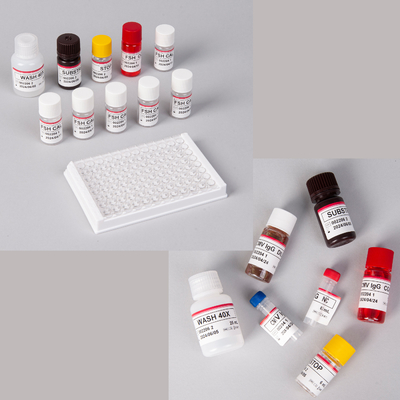 Kit Elisa pro-BNP humain / Kit Elisa péptide natriurétique pro-cerveau