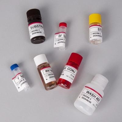 RV-G Elisa Test Kit pour le diagnostic du type d'échantillon de plasma