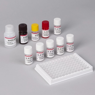 Kit de test IL-6 Interleukine 6 Elisa avec 2 à 3 heures de temps d'essai Biovantion Sérum/Format plasmatique Durée de conservation 18 mois