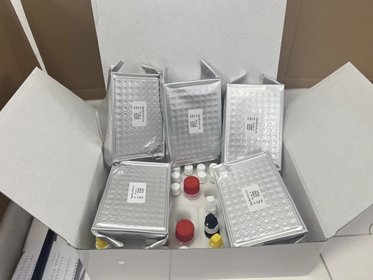 11-déhydro-thromboxane B2 11dhTxB2 ELISA Test Kit IVD Haute précision et fonctionnement simple