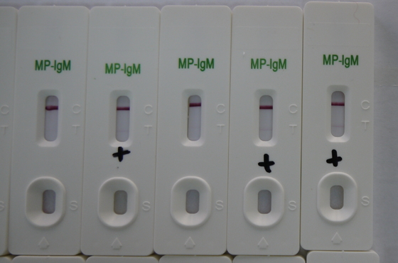 Cassette de test d'urine d'or colloïdal MP IgM avec une durée de conservation de 24 mois