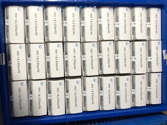 Réactifs d'immunologie enzymatique Kit de test Elisa pour la détection des anticorps du virus de l'hépatite C (VHC)