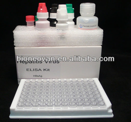 Diagnostic précis de l'HBsAg en 2 à 3 heures avec un kit de test immunosorbant lié à l'enzyme
