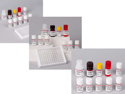 Laboratoire ou hôpital Kit de test de ferritine humaine FE ELISA de haute précision
