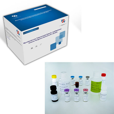 Kit de test ELISA facile à utiliser pour la tuberculose IGRA avec une longue durée de conservation et une méthode de conservation 2C-8C