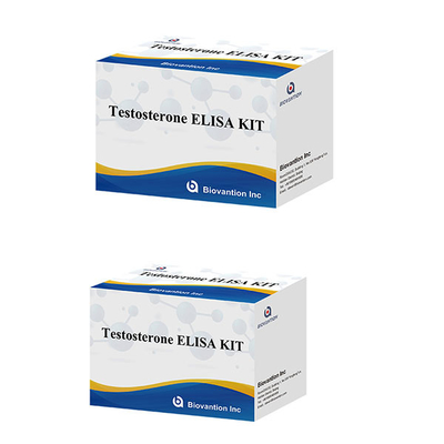 Hormone sexuelle masculine Hormone de testostérone (quantitative) Elisa Test Kit Pour le diagnostic