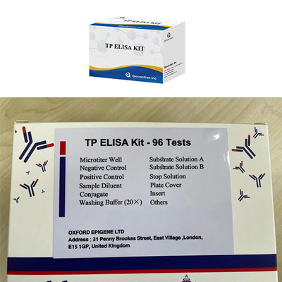 Infection masculine et féminine Syphilis élevée TP Ab Anticorps ELISA