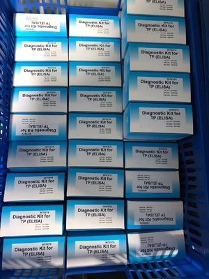 Kit de test ELISA contre le treponème pallidum anti-TP sérum / plasma Diagnostic médical